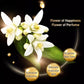 🥳2026 VARMT SALG🥳💞50 000+ SOLGT!💥🧼✨ 48% RABATT! Dyprensende gyllen parfymesåpe – Rikt fint skum, dyp porerensing. Fuktighetsgivende gyldne ingredienser, blomsterduft. Etterlater huden myk, glatt og strålende. Din daglige luksus. 🌸🛁