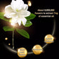 🥳2026 VARMT SALG🥳💞50 000+ SOLGT!💥🧼✨ 48% RABATT! Dyprensende gyllen parfymesåpe – Rikt fint skum, dyp porerensing. Fuktighetsgivende gyldne ingredienser, blomsterduft. Etterlater huden myk, glatt og strålende. Din daglige luksus. 🌸🛁