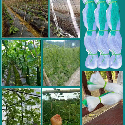🌿【Klatrenett】— Tomater og agurker klatrer opp av seg selv og holder seg over bakken, slik at du ikke trenger å bøye deg for å plukke dem! 🍅✨
