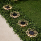 🌤️Solar-Powered Waterproof Outdoor Decorative Light✨