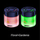 🍃Car Long-Lasting Solid Aromatherapy Fragrance