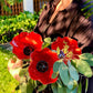 🌸 VÅRSALG 56% RABATT 🎁💖🌹Håndlaget blomsterpinn i metall🐦