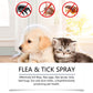 🍃Naturlig loppe- og flåttspray for hunder og katter🐾 Hold ditt kjære kjæledyr fritt for skadedyr