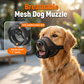 🐶💨 Pustende nettingmunnkurv til hund | Polstret neserygg + justerbare stropper – Betal ved levering ✅