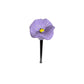 Livlig blomsterfarget fuglevannsmater