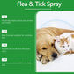 Natural Flea & Tick Spray for Dogs and Cats