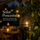 Solar Glow-stearinlyslanterne